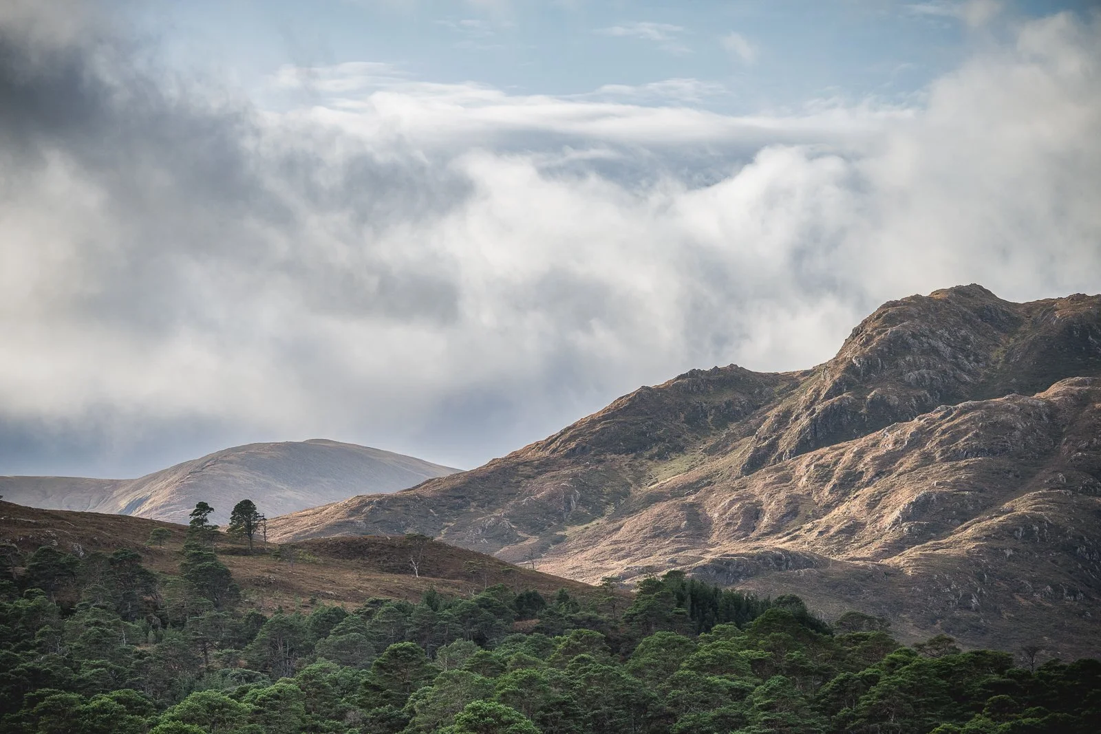 Glen Affric Light