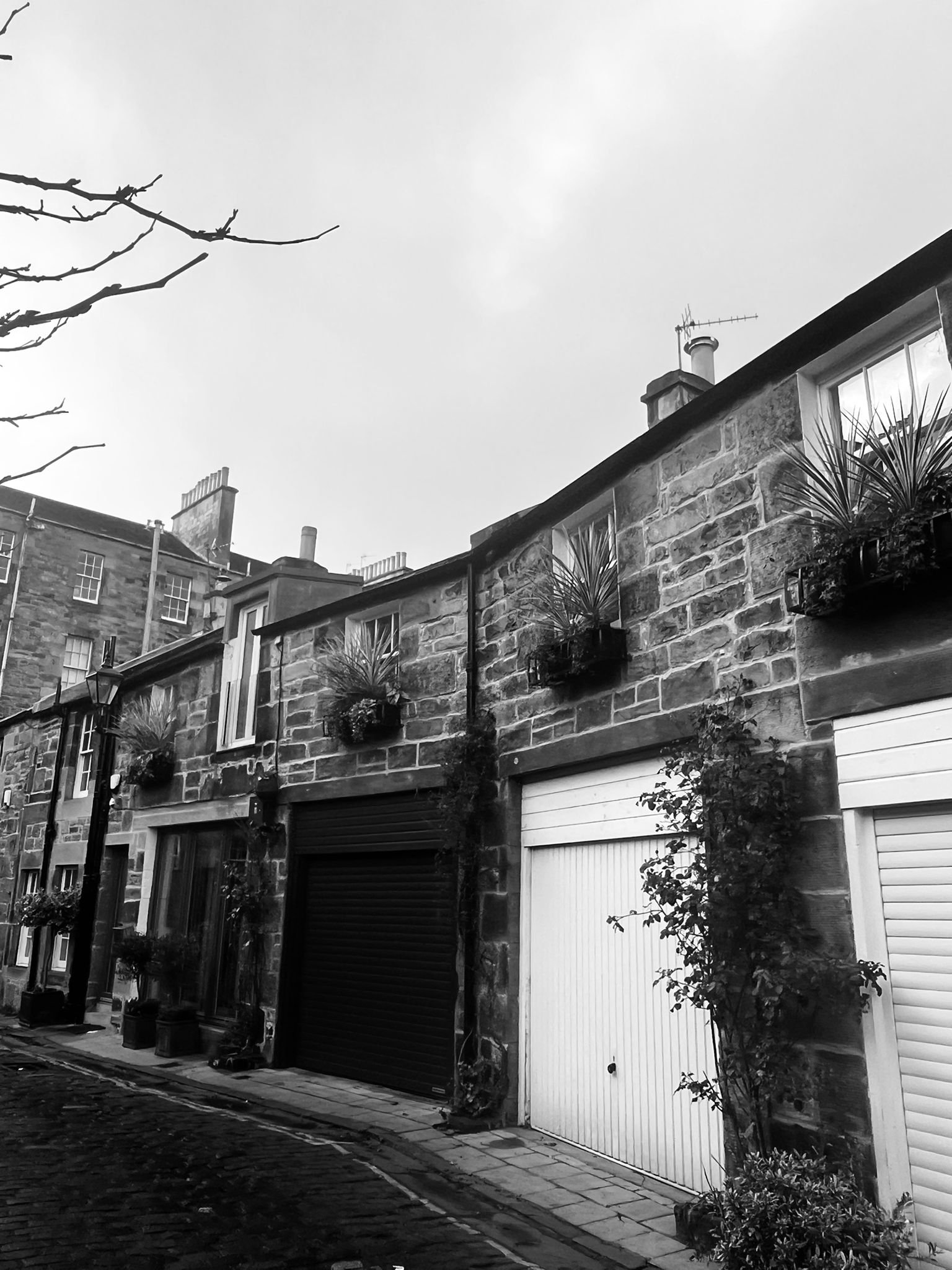 1. Edinburgh Mews