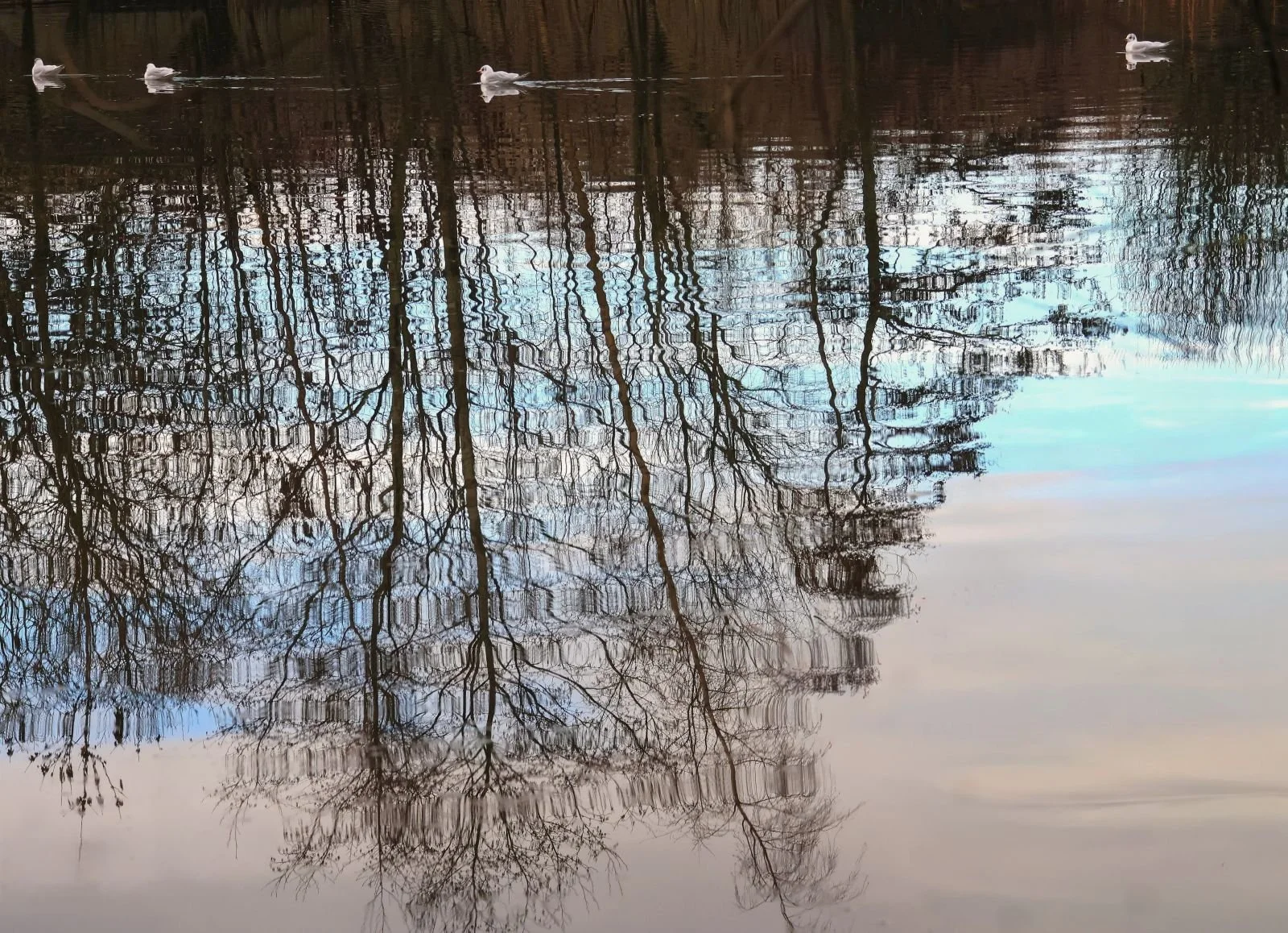 League 1 Colour Print 3rd Eq Place - Which Way Up? - Helen Miller