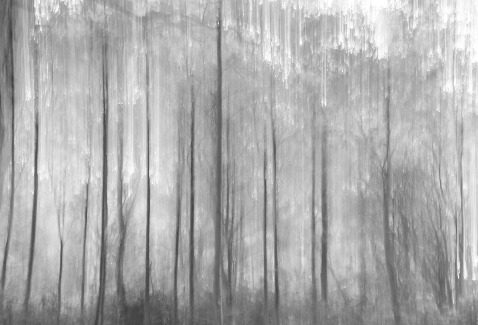 September 2024 - Spooky Woods - Helen Miller