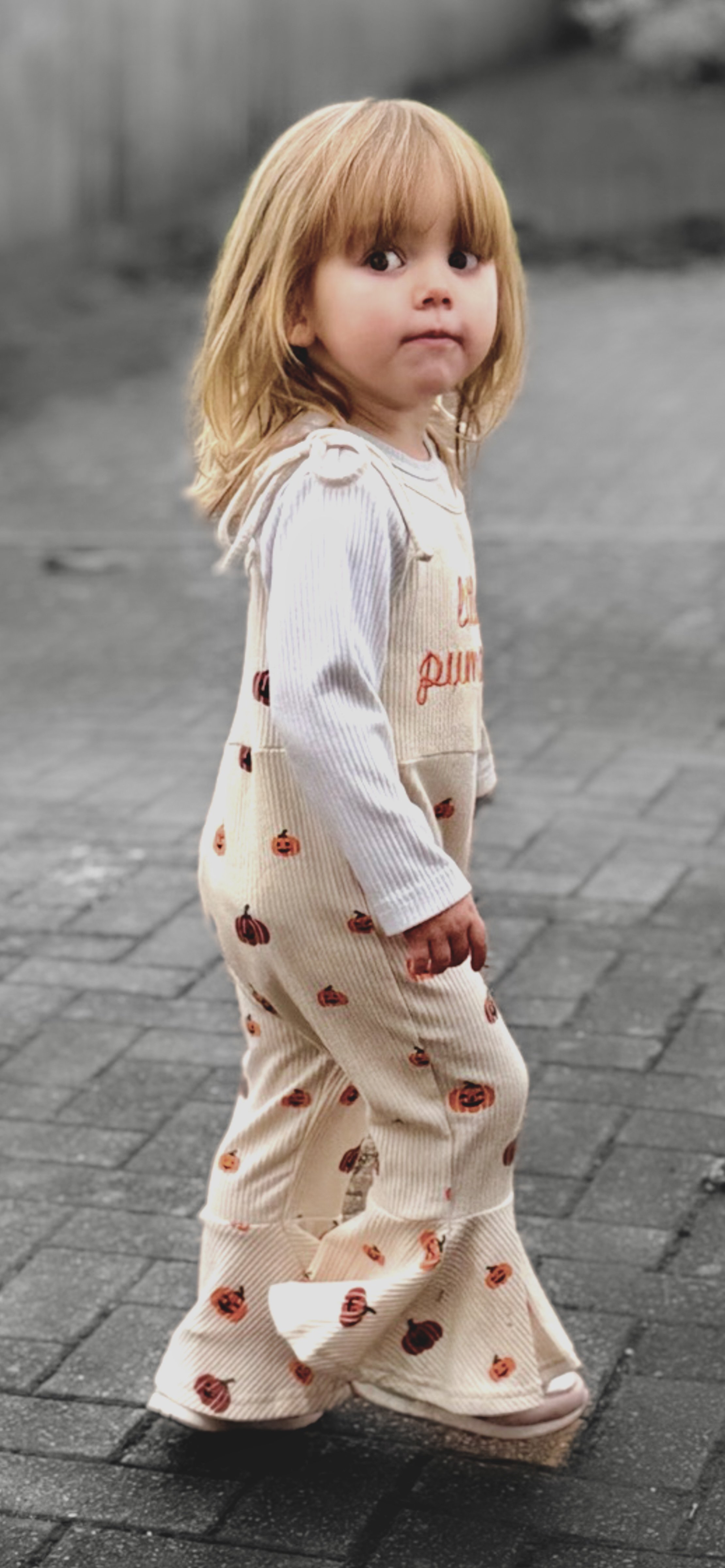 League 2 Colour Print 1st Place - 70s Revival - Sue Thomson