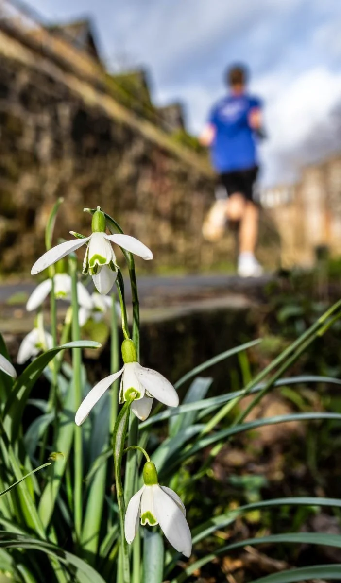 11. Sprinting towards Spring