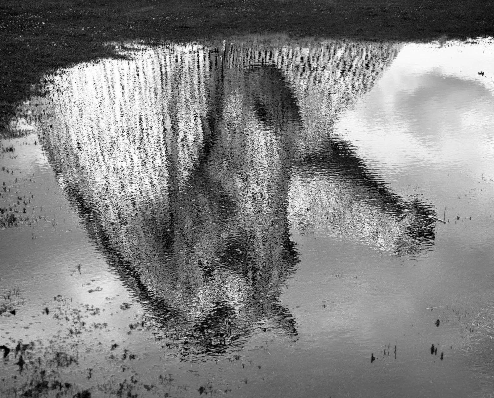 League 1 Mono Print 2nd Place - Puddle Image - Carole MacLaren