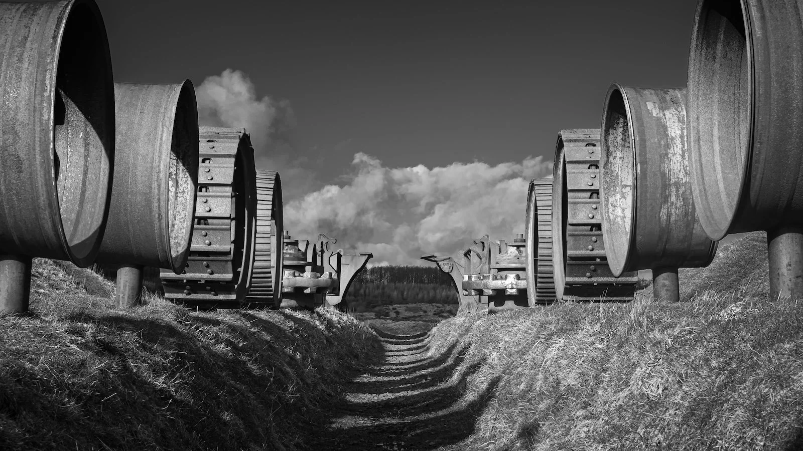 3. Framing the Forest