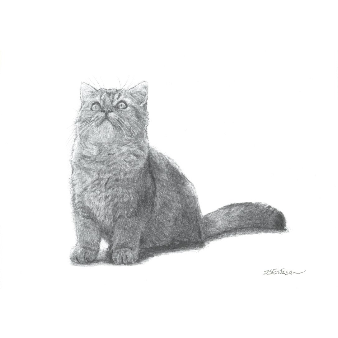 This Ceiling is Interesting (Postcard)