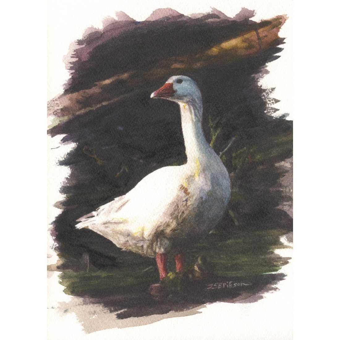 23.10.2025 Hani Print_M.jpeg