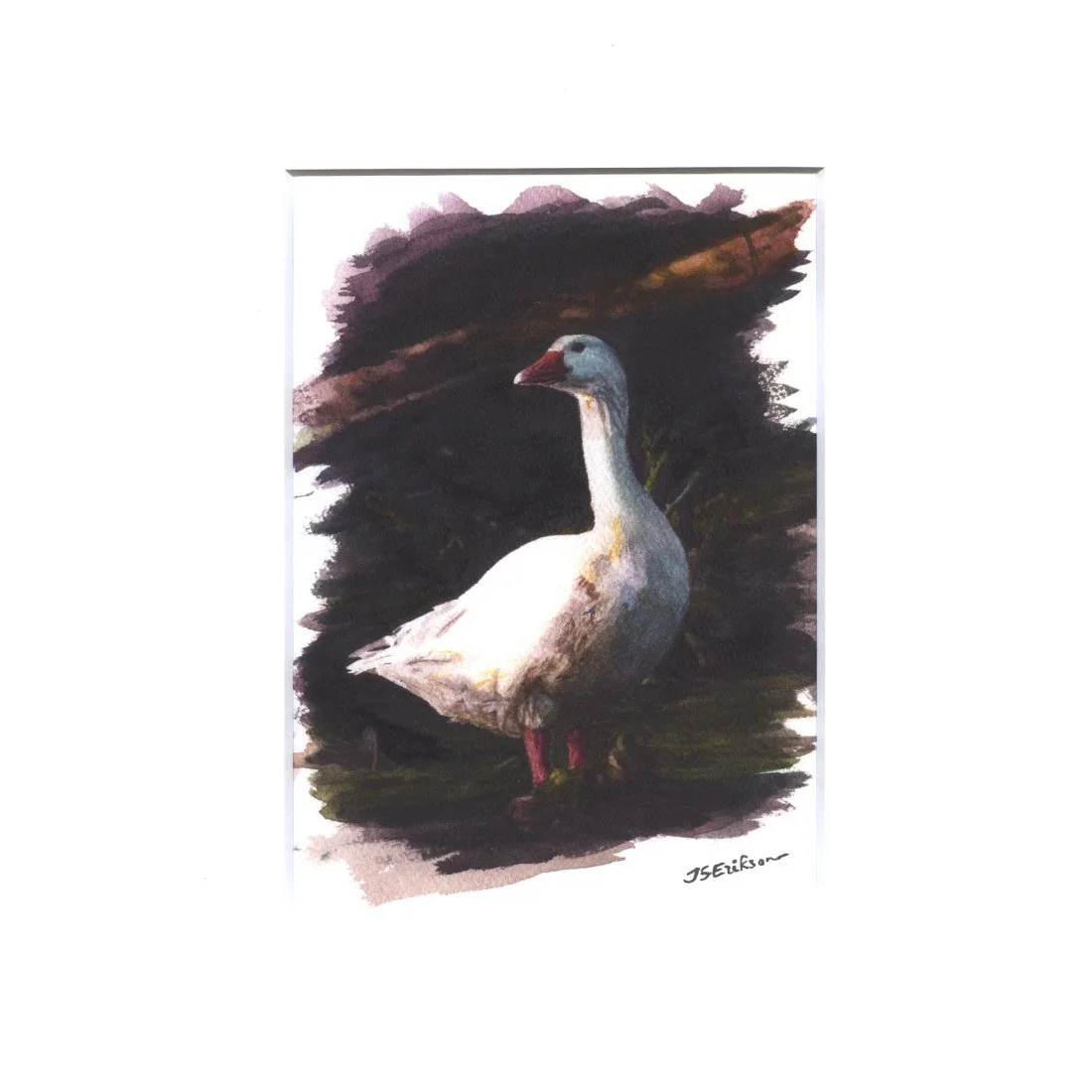 hani kreemjas paspa.jpeg