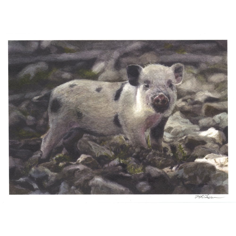 Pigmented Piggy, front PK.jpeg