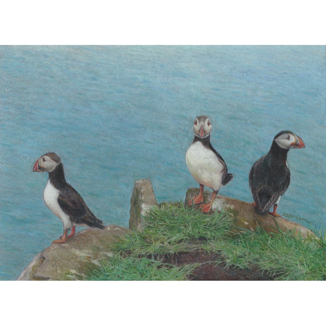 Puffins.jpeg