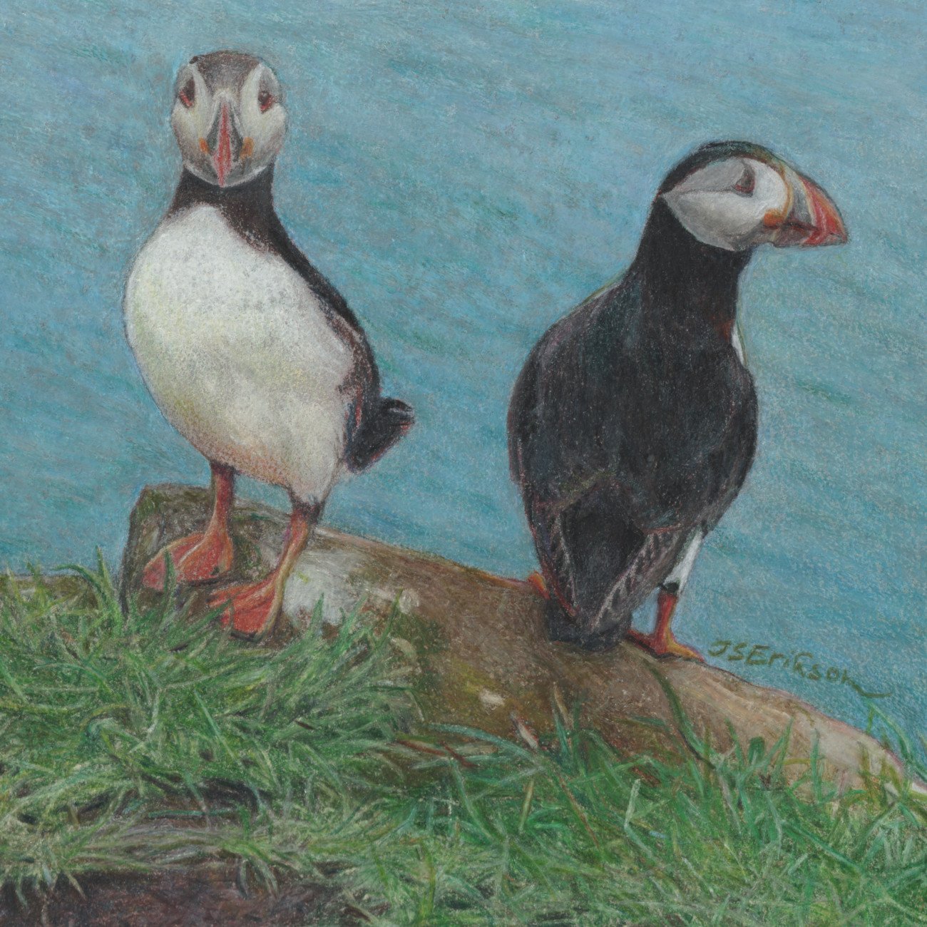 Puffins zoom.jpeg