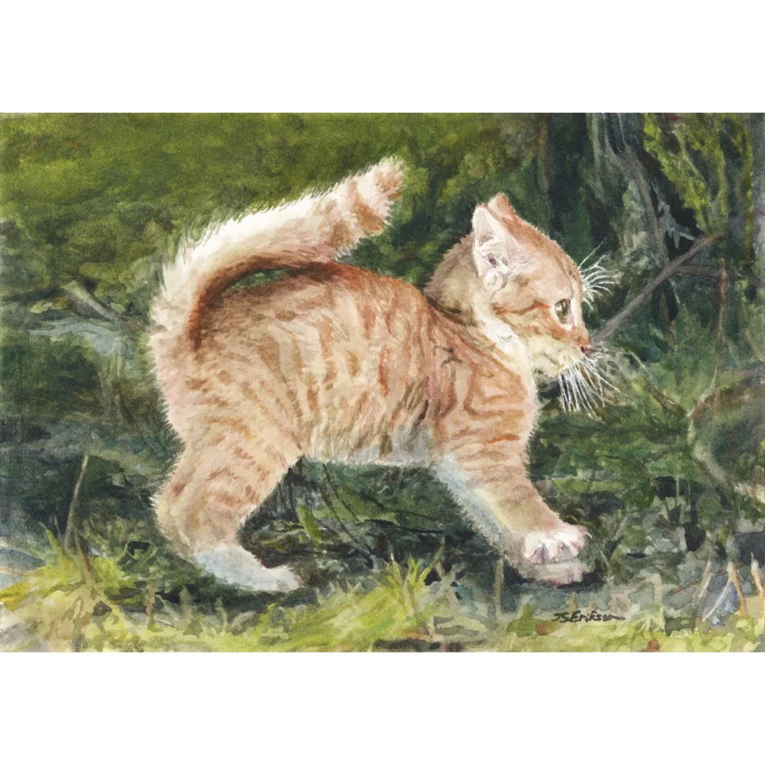 First Stretch of the Day.jpeg