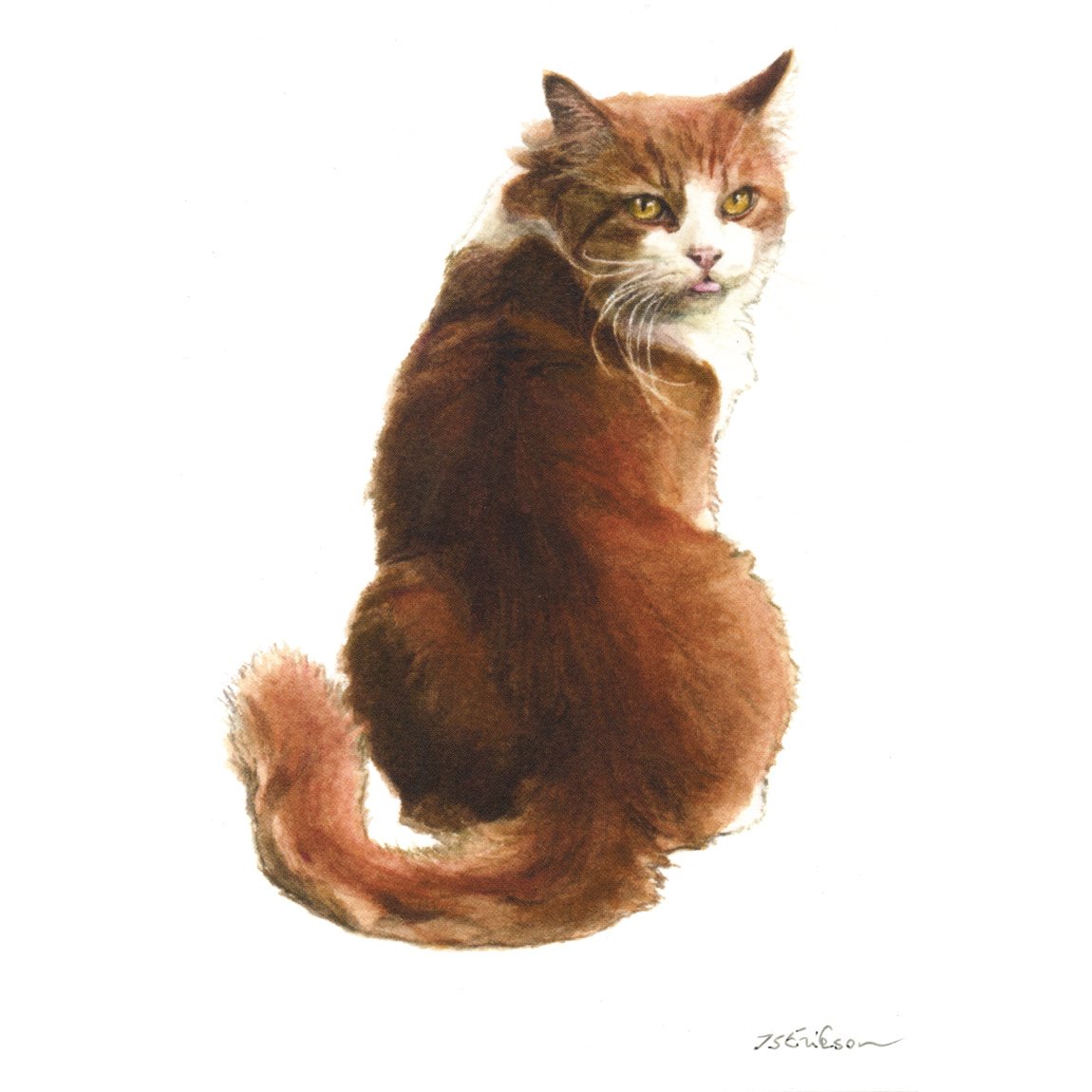 What are We Waiting For? Let's Go! (Postcard)