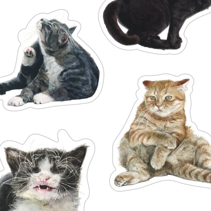 Kassekleepsuleht, v8rvilised ZOOM.jpeg