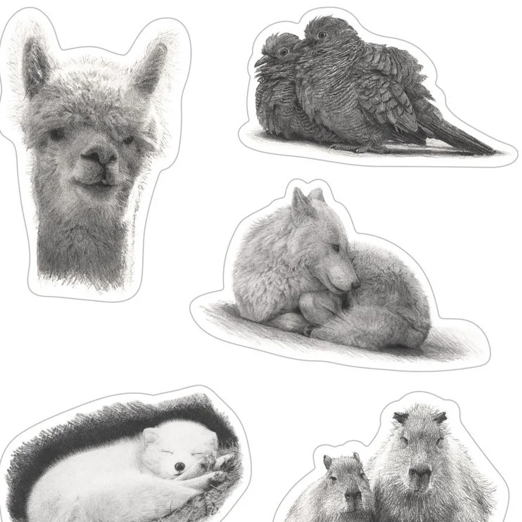 kleepsud mv lamineeritud Zoom.jpeg