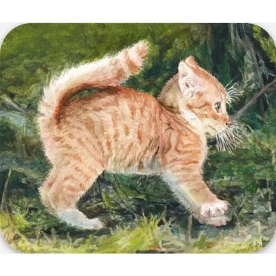 Cat Sticker - First Stretch of the Day. 7.62 cm x 6.30 cm / 3.00″ × 2.48″