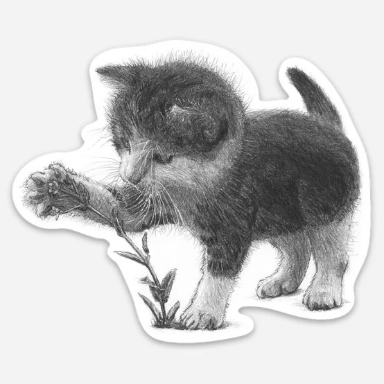 Cat Sticker - Kitten Botanist. 8.36 cm x 7.06 cm / 3.29″ × 2.78″