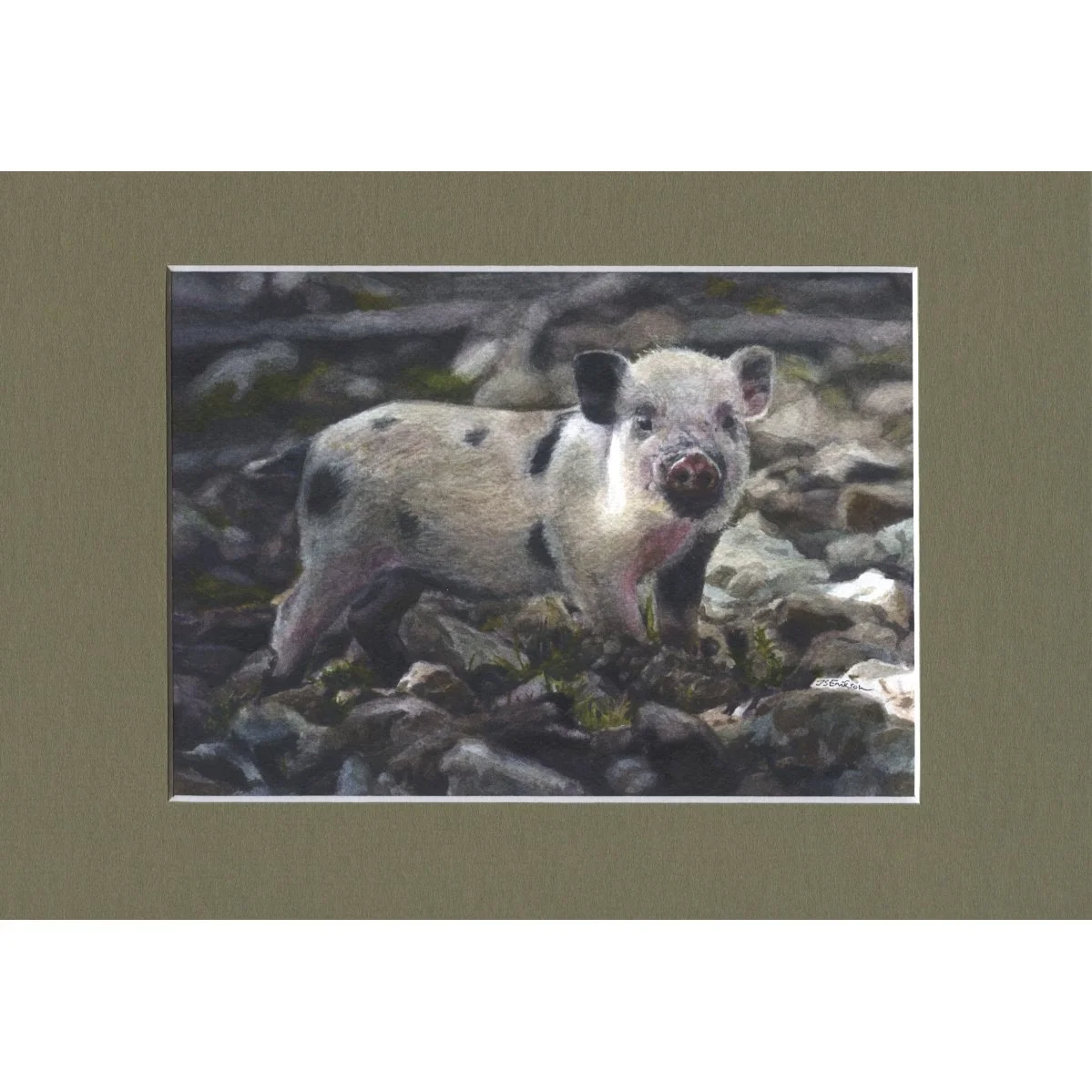 põssa roh paspa.jpeg