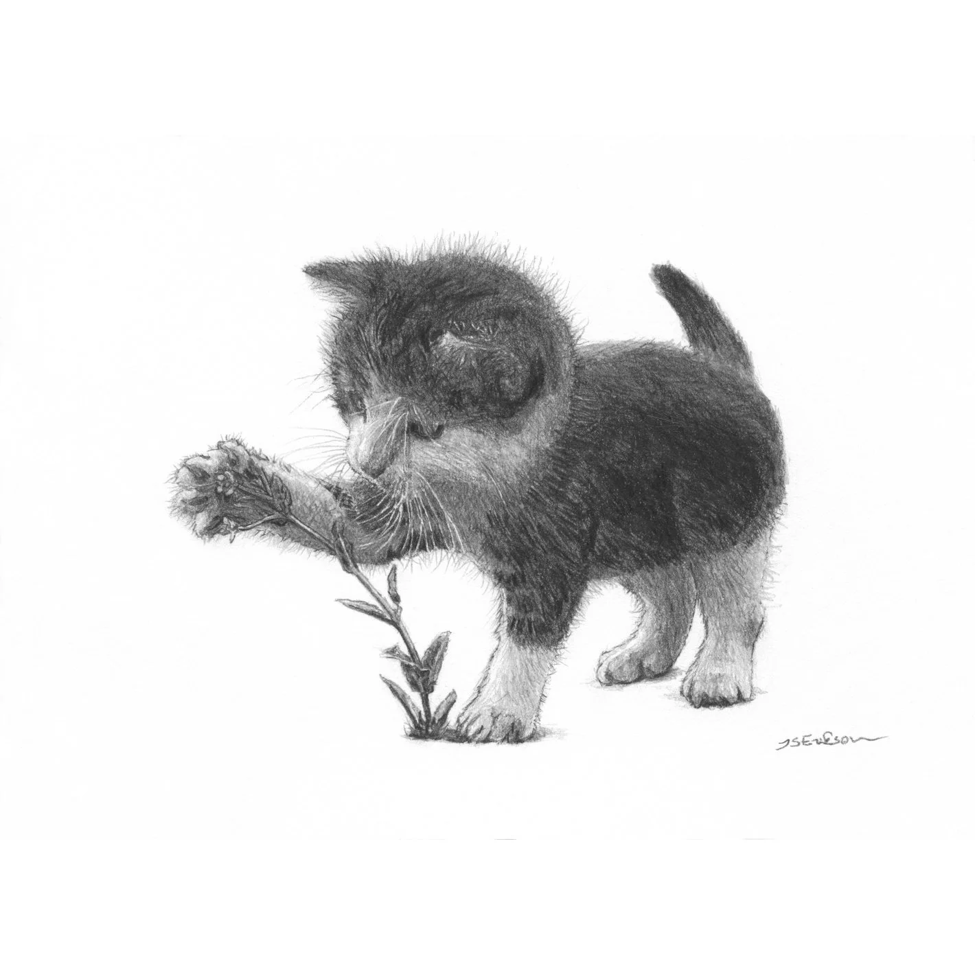 Kitten Botanist.jpeg