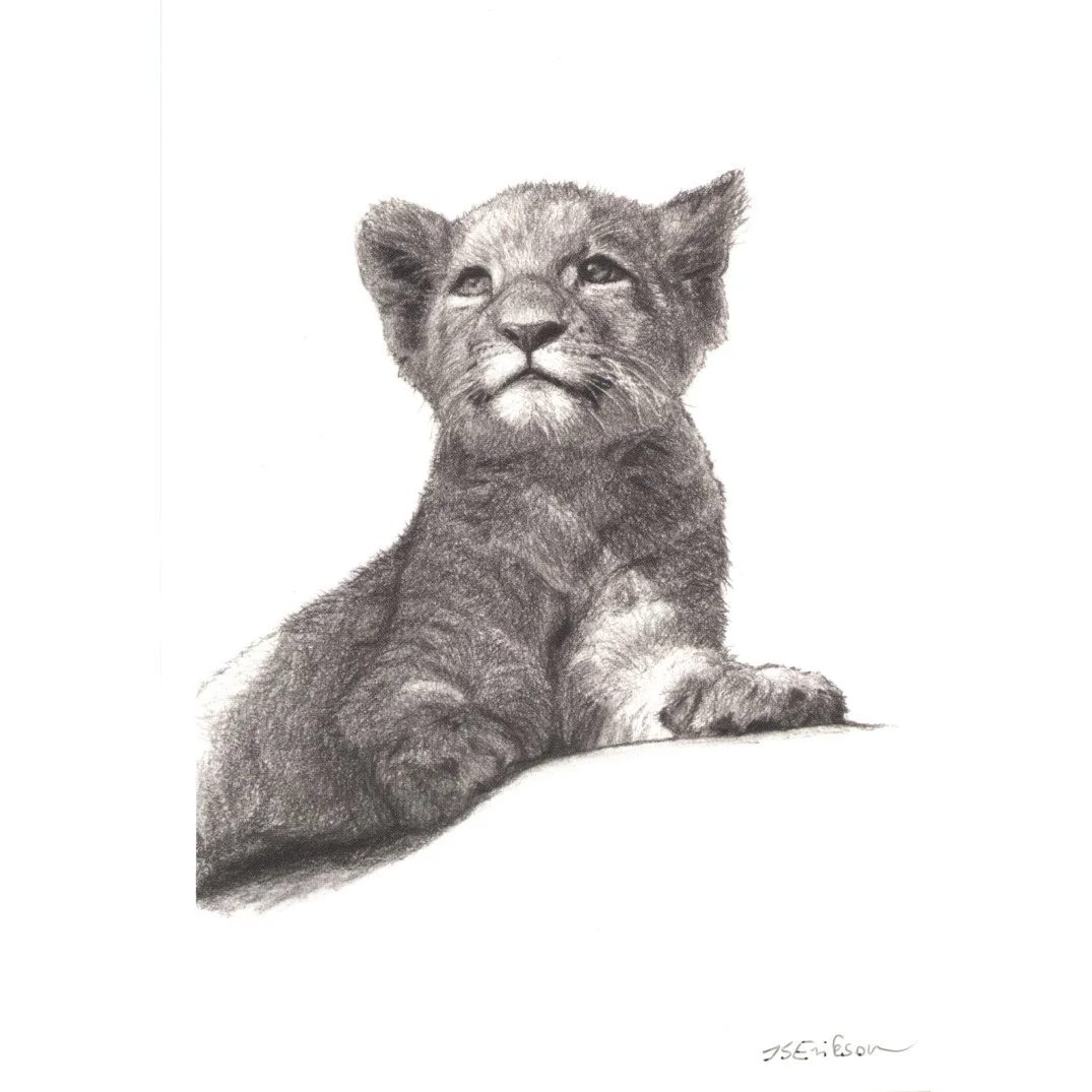 Bryan the Lion Cub (Postcard)