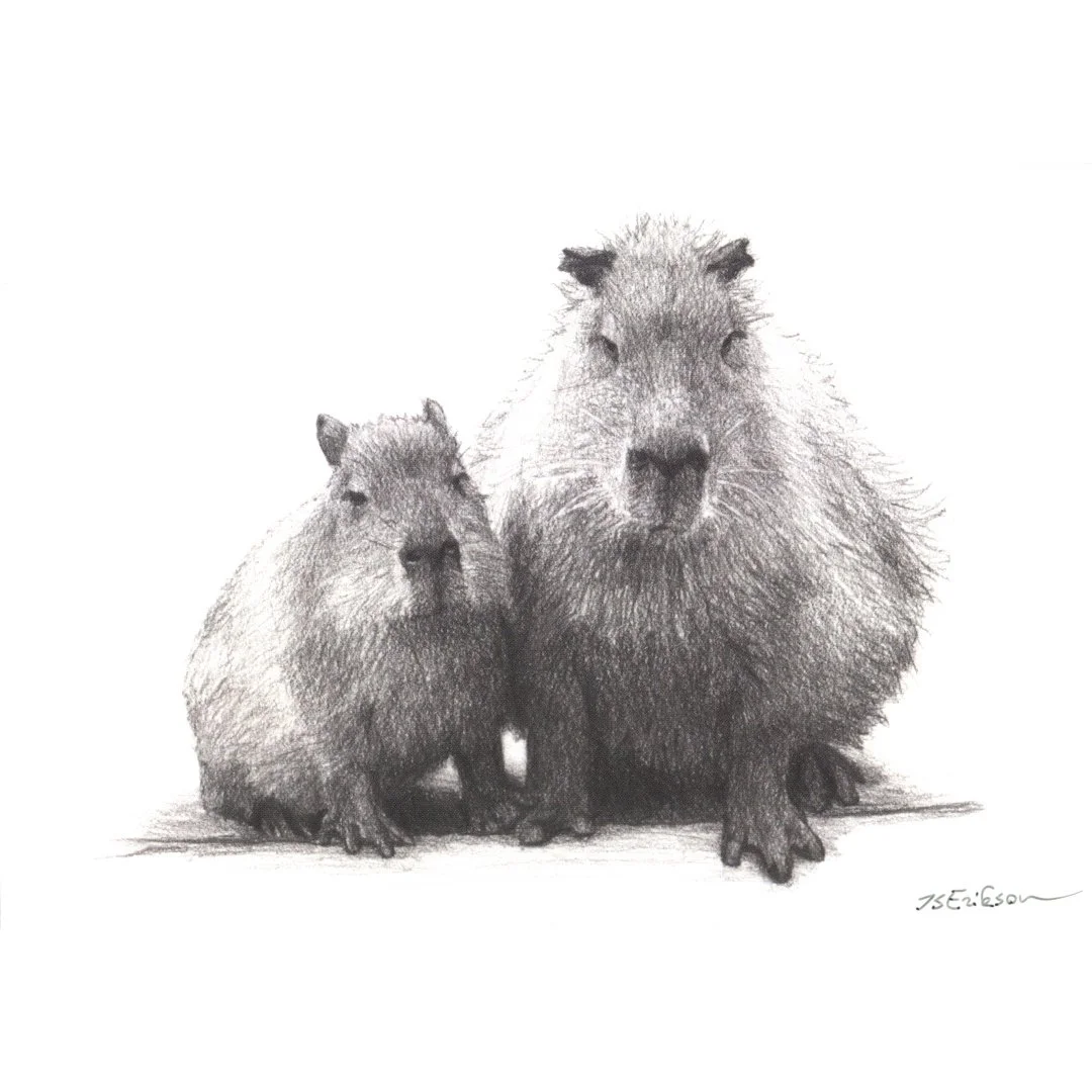 Capybara PK front.jpeg