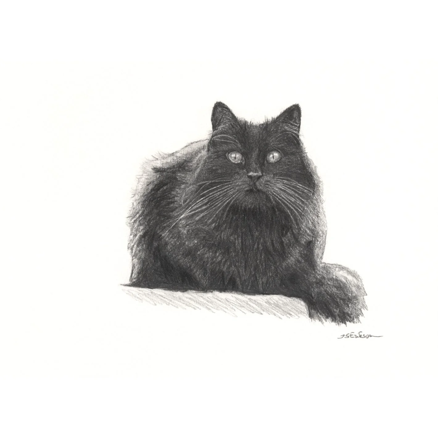 The Void Stares Back.jpeg