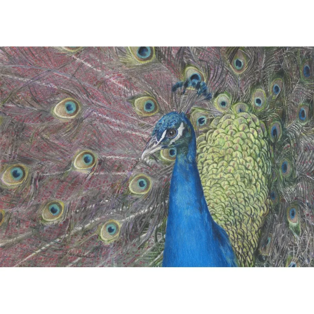 12.09.2025 paabu_20,7x14,6_Print_M.jpeg