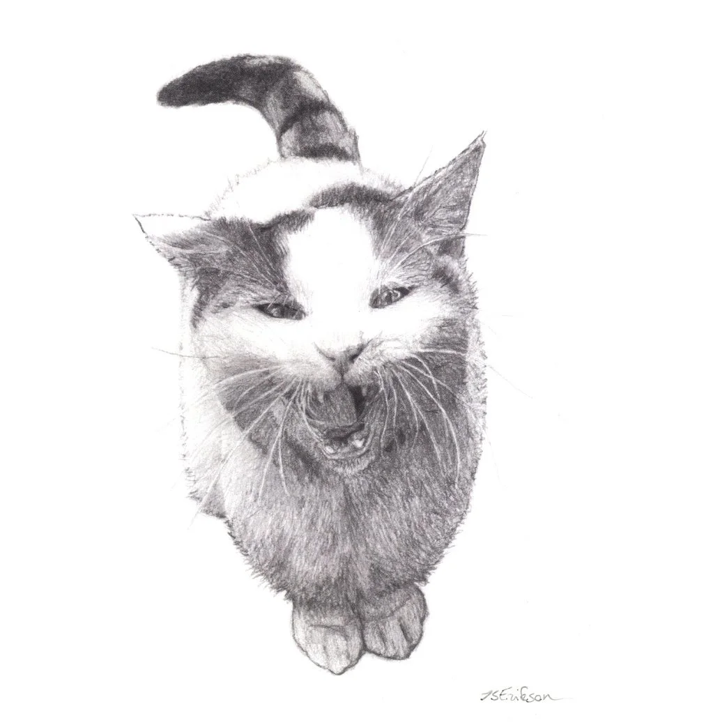 I Demand Attention (Postcard)