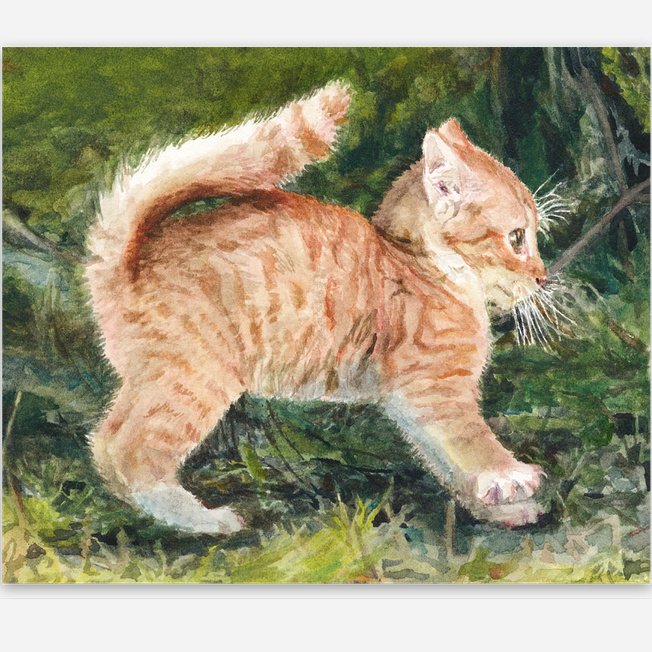 Streching Kitten Sticker, laminated, colorful.