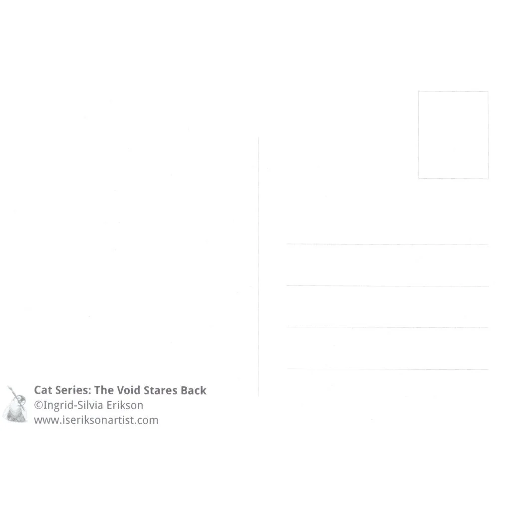 The Void Stares Back PK back.jpeg