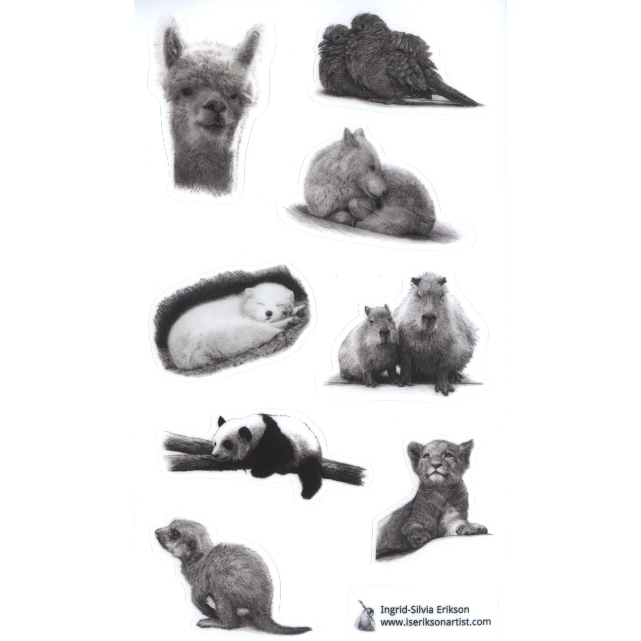 kleepsud mv lamineeritud 2025.jpeg