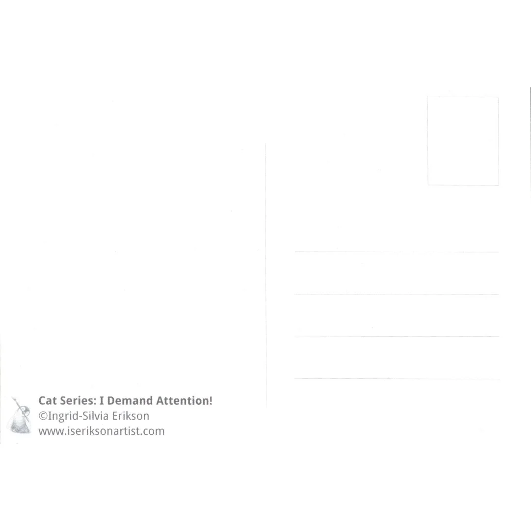 Kass Attention PK back.jpeg