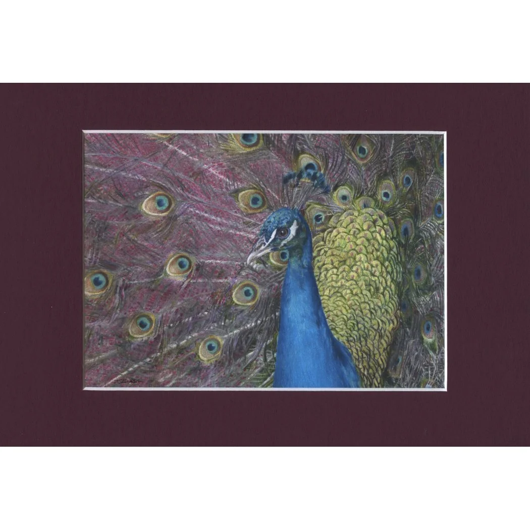 paabu tumepunane.jpeg