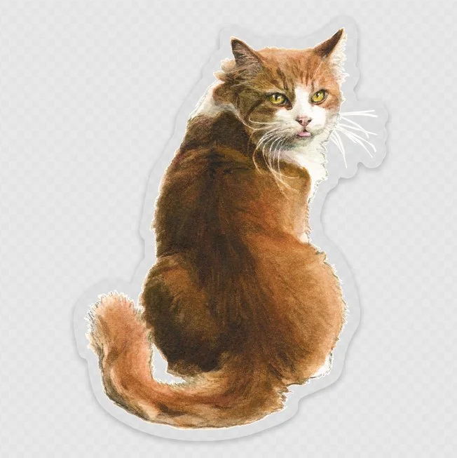Cat Sticker - What are We Waiting For? Let's Go! 7.54 cm x 10.16 cm / 2.97″ × 4″