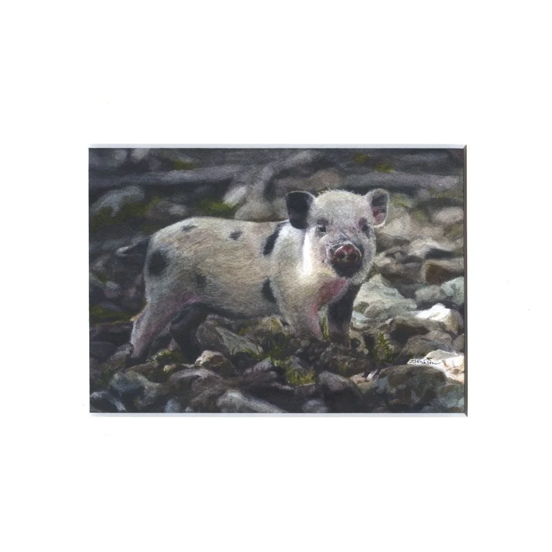 põssa kreemjas paspa.jpeg