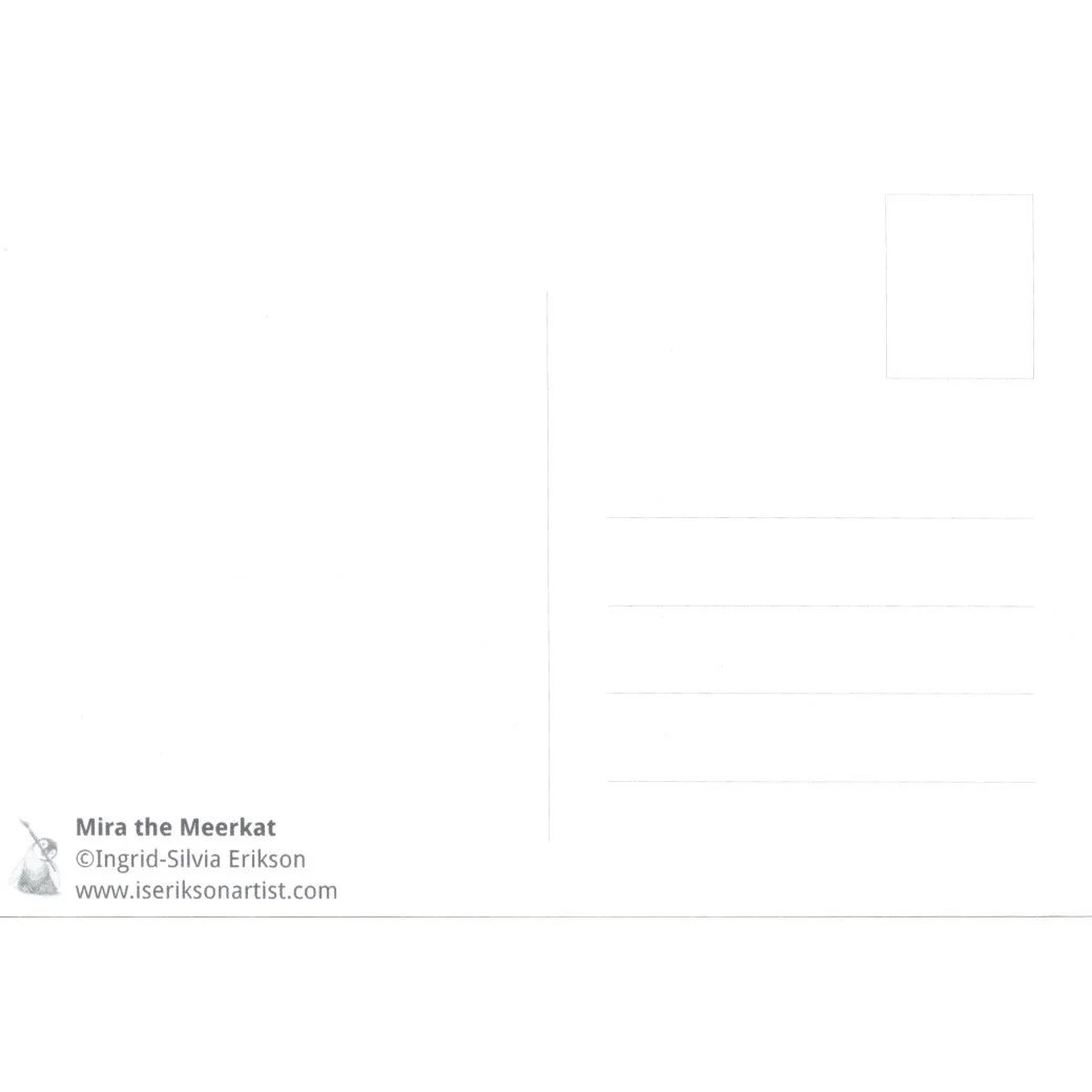 Meerkat PK back.jpeg