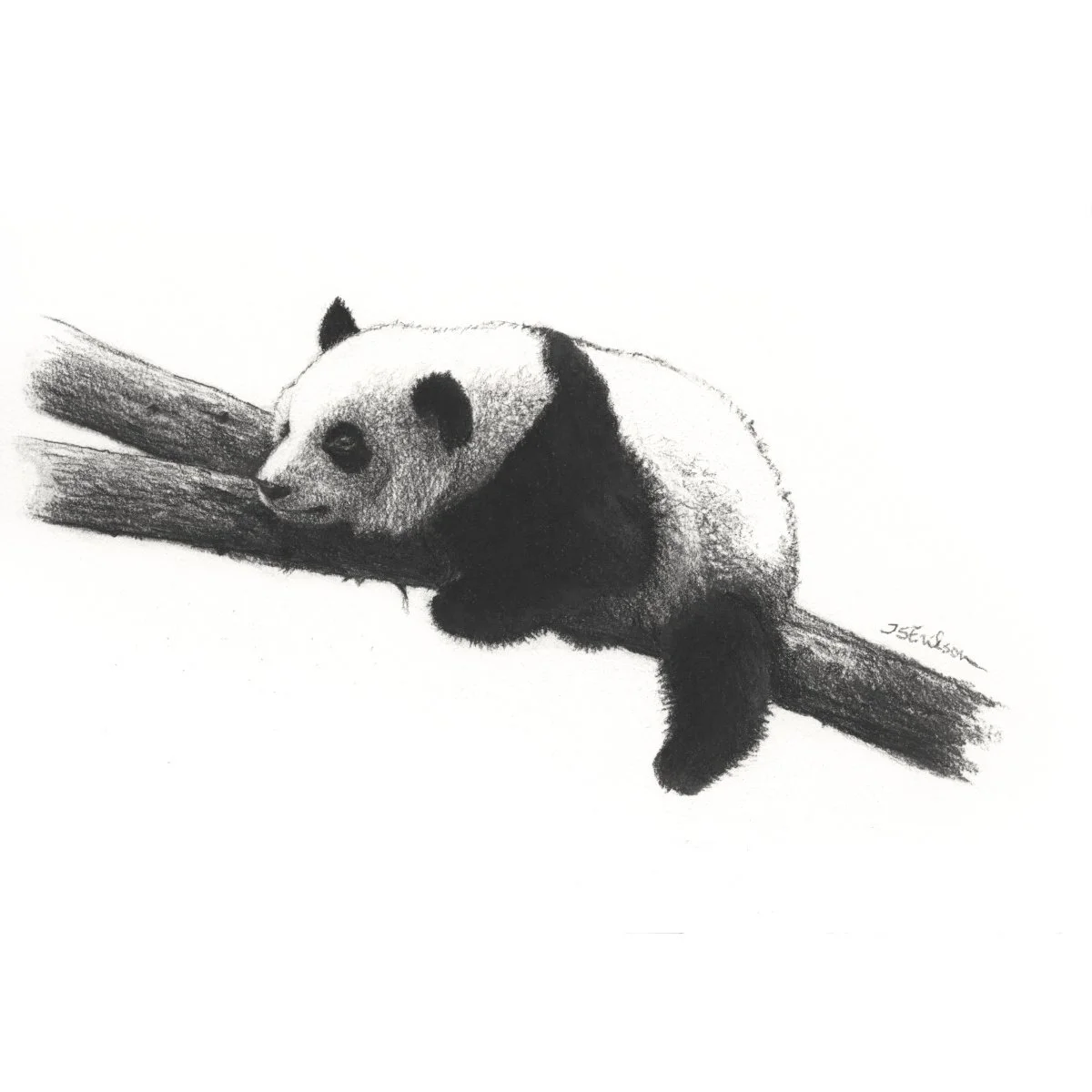 01.10.2025 Panda, puhastatud_Print_M.jpeg