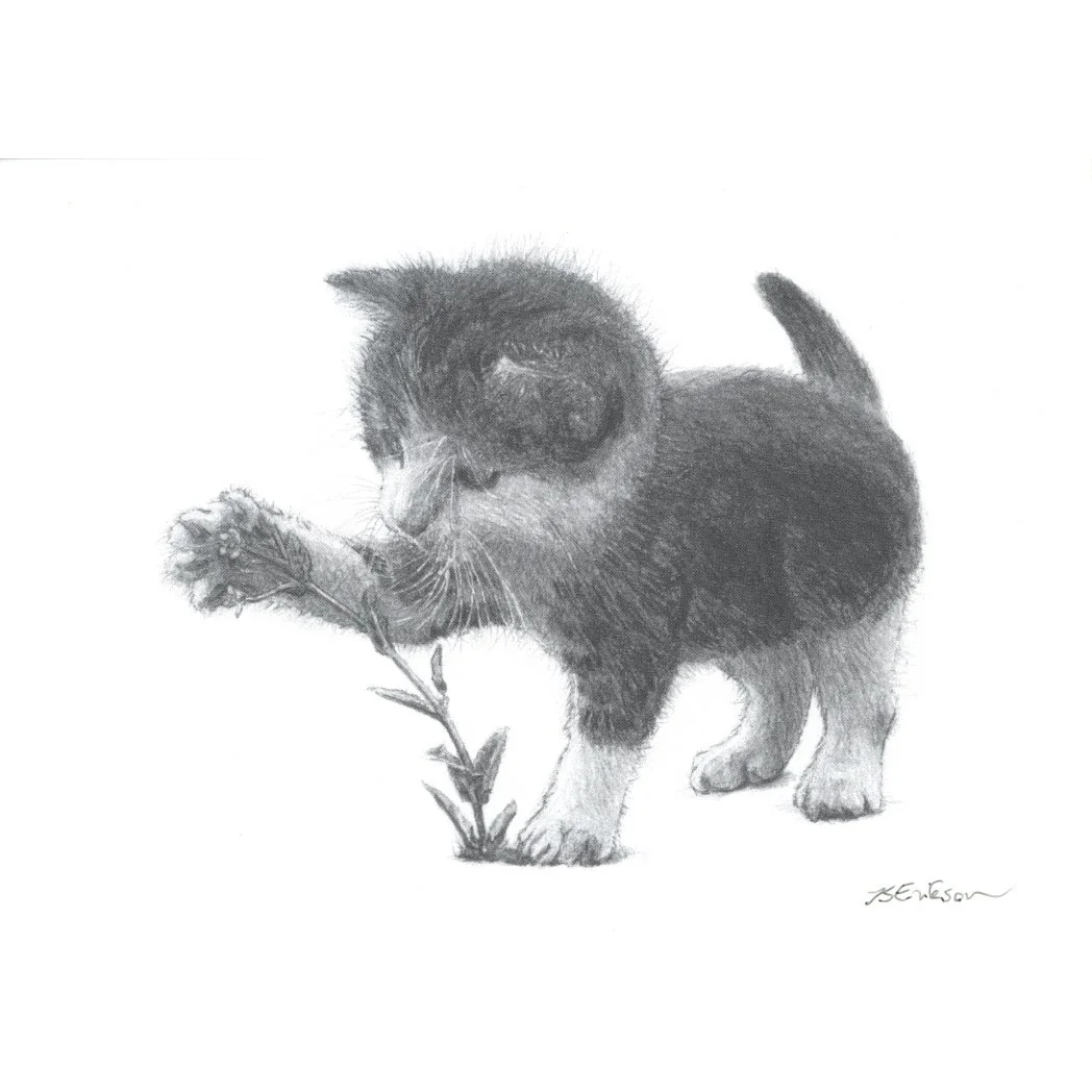 Kitten Botanist (Postcard)