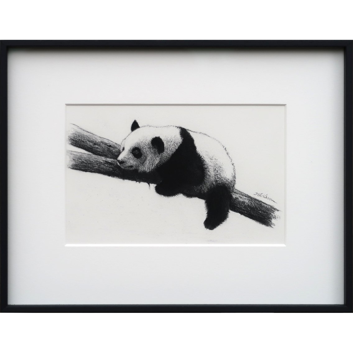 Panda orig süsi.jpeg
