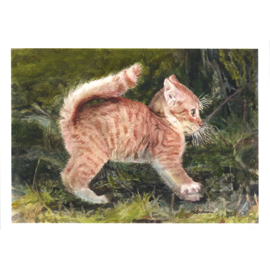 First Stretch of the Day (Postcard)