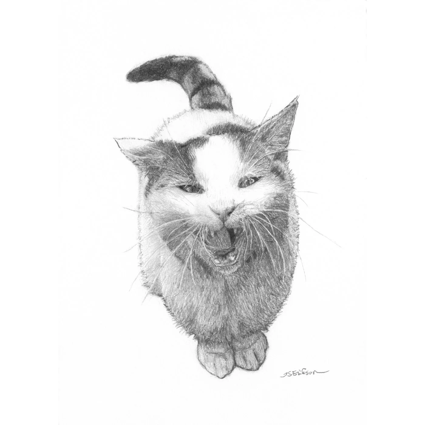 I Demand Attention.jpeg