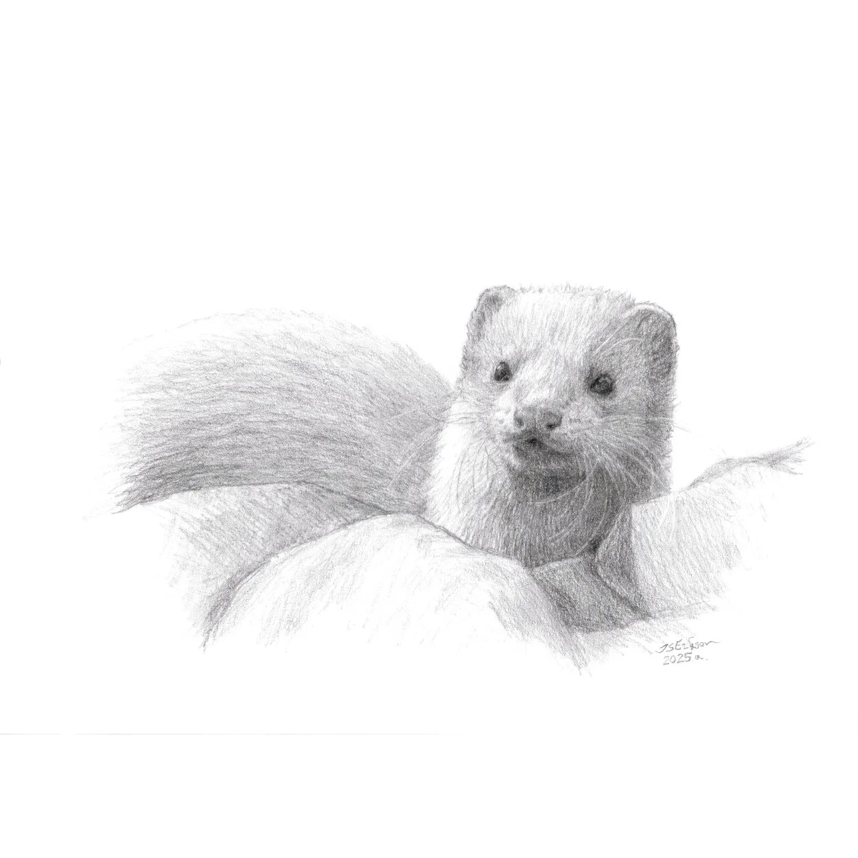 Jass tuhkur trükis.jpeg