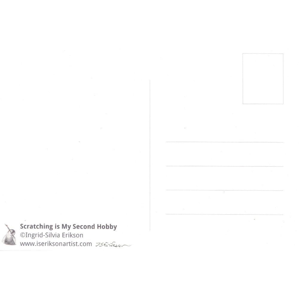 Scratching is My Second Hobby, back PK.jpeg