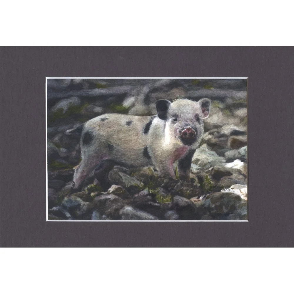 põssa hall paspa.jpeg