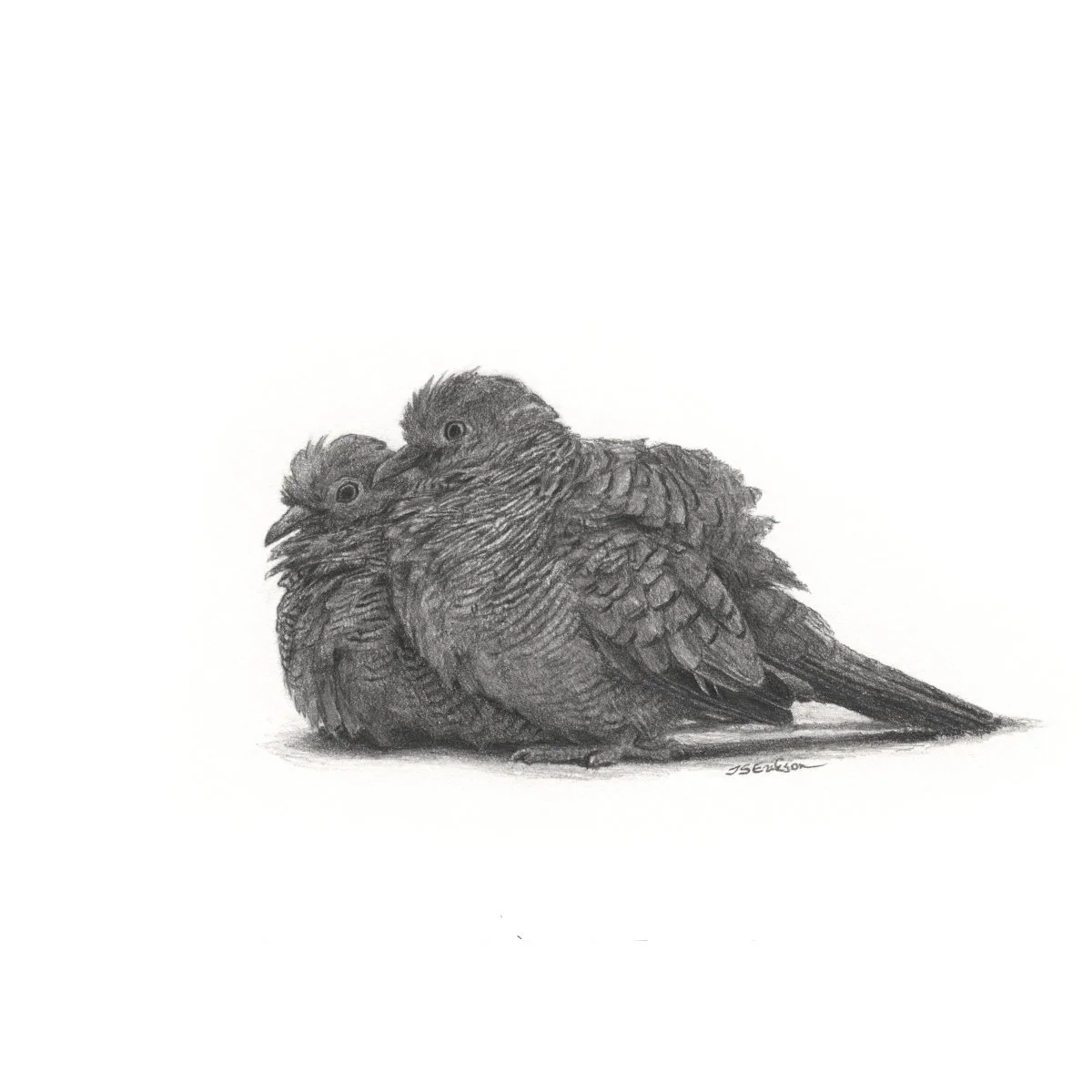 06.10.2025 tuvid_Print_M.jpeg