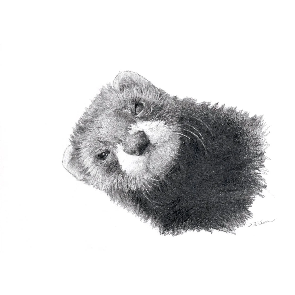 Tont (Valm 11.12.2024).jpeg