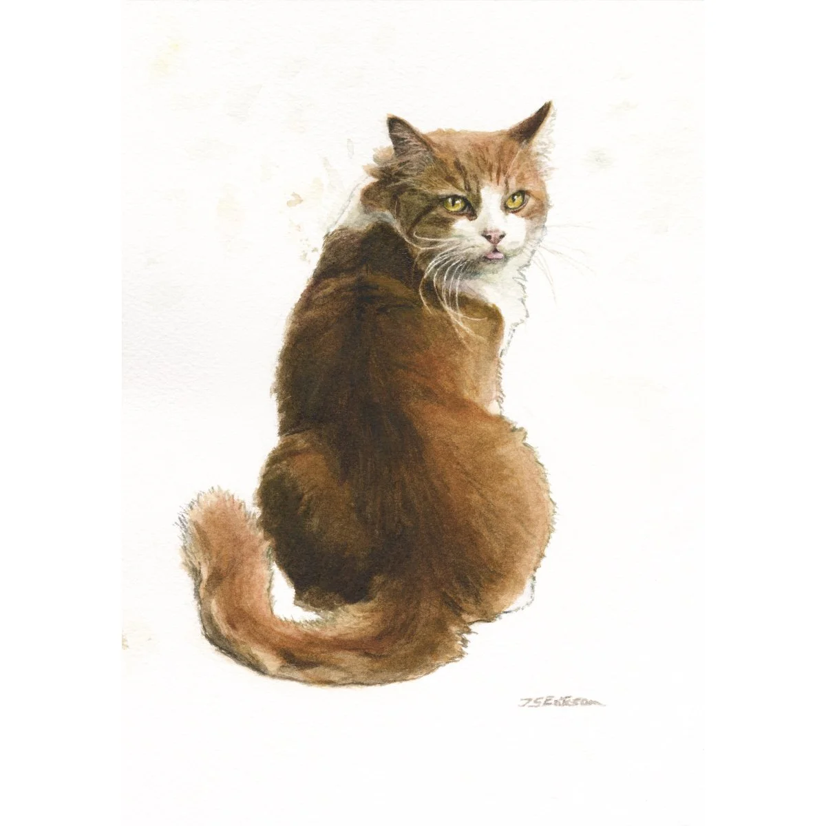 What are We Waiting For. Let's Go.jpeg