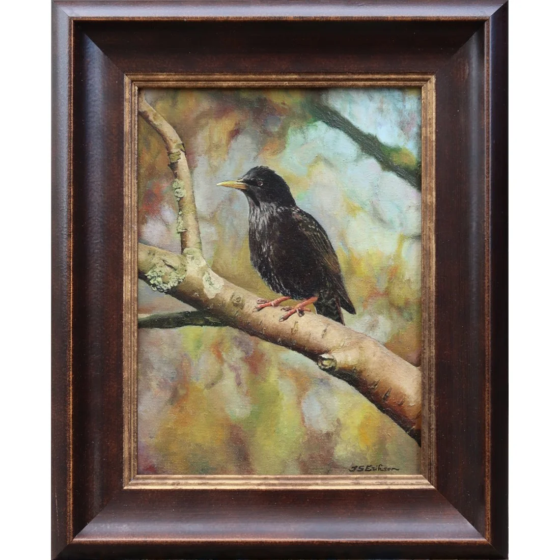 Starling on a Tree (Original), raamitud.jpeg