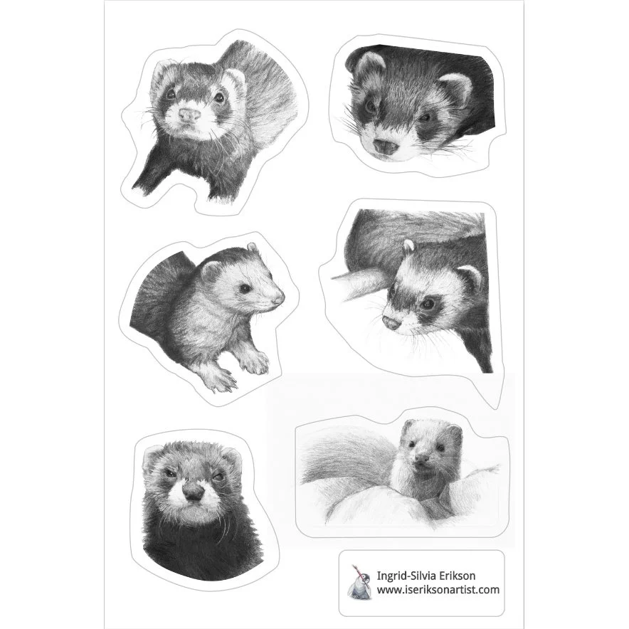 Ferrets Sticker Sheet - laminated; black and white