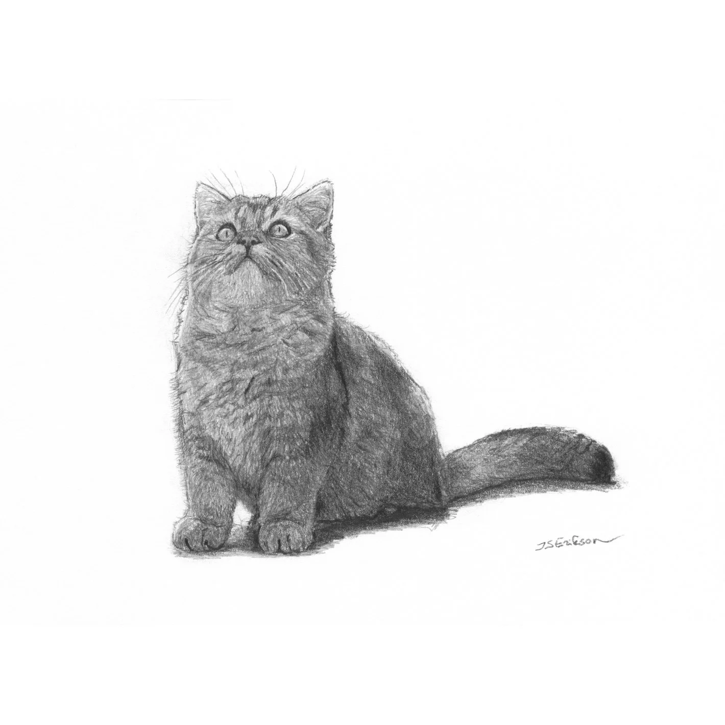 This Ceiling is Interesting.jpeg