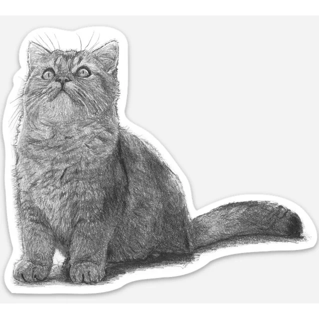 Cat Sticker - This Ceiling is Interesting! 10.16 cm x 8.64 cm  / 4″ x 3.4″